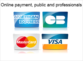 Online payment, public and professionals