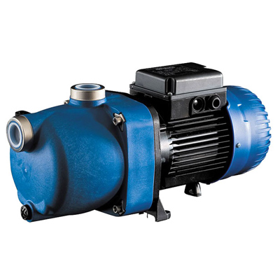 Polaris 1HP single-phase booster pump for pool cleaner